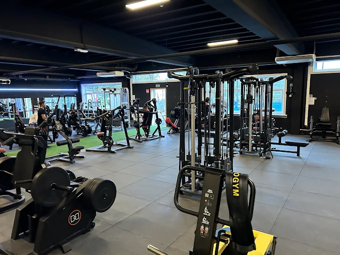 Fitnessvloer bij FitZone Assenede met kracht- en cardioapparatuur